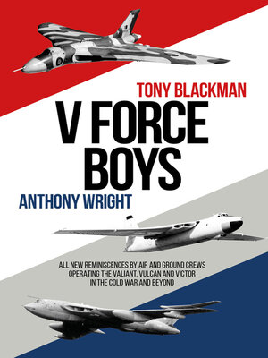 cover image of V Force Boys